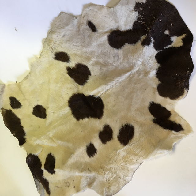 ANIMAL HIDE, Calf - White Brown Spot